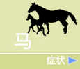 小马